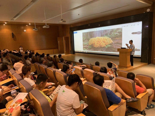 廣東：國內首次大型真菌藝術畫展在深圳舉辦