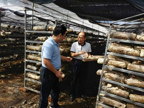 河南：省林业局党组成员、森林公安局局长朱延林调研桐柏县食用菌产业