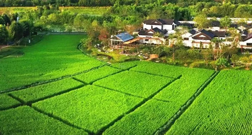 如何大力發展田園綜合體？農業農村部的答復來了！