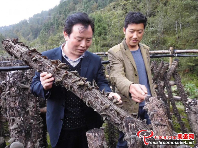 馬明元：履職幫困扶貧 為民引領富路?
