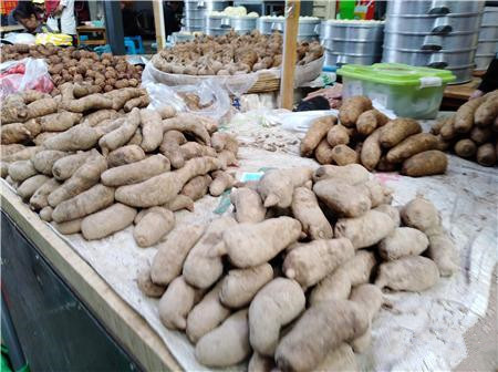 云南：昆明新鮮天麻價格回落