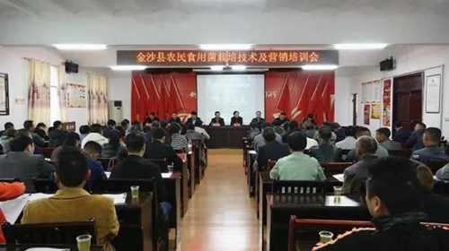貴州：金沙縣農民食用菌栽培技術及營銷培訓會召開