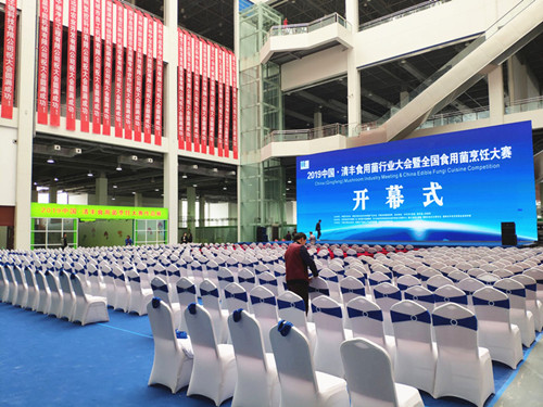 探营2019中国·清丰食用菌行业大会暨全国食用菌烹饪大赛展区 小编带你初体验