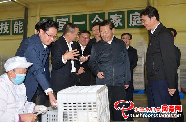 这项颠覆传统食用菌灭菌新技术获国家食用菌产业体系首席科学家张金霞肯定