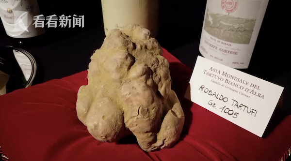 1005克白松露拍出93萬元天價