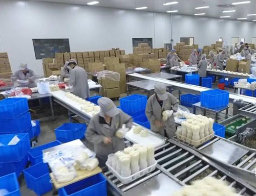 “鄒城蘑菇”成功入選“中國農業品牌目錄2019農產品區域公用品牌”名單