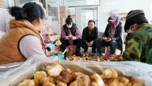 黑龙江：海林市猴头菇产业发展旺