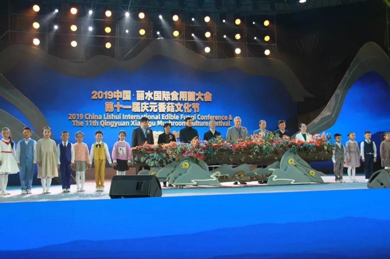 2019中国•丽水国际食用菌大会暨第十一届庆元香菇文化节成功举办