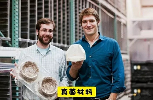 美國：Ecovative公司用蘑菇減少塑料垃圾