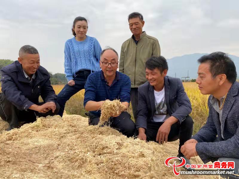 扎根基層35載 鄉(xiāng)村振興助力多————福建省順昌縣科技特派員高允旺的菌業(yè)扶貧之路