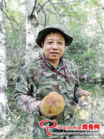 “蘑菇教授”為菌物創建“大本營”
