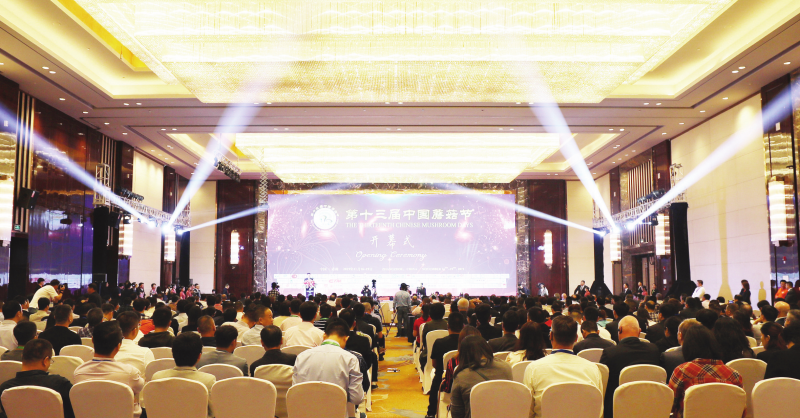 第十三届中国蘑菇节在福建漳州成功举办