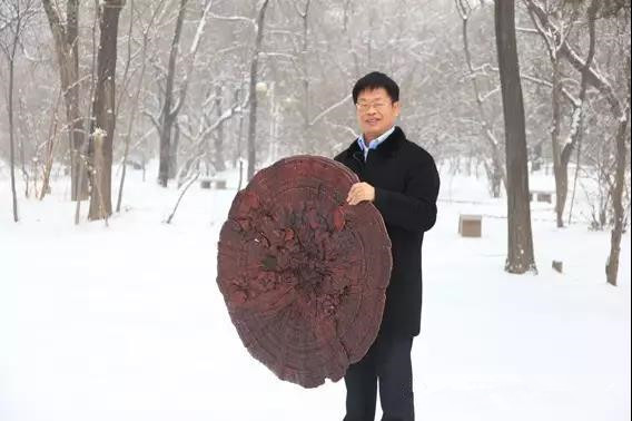 把論文寫在田野里 ——記山西農(nóng)業(yè)大學(xué)教授、省食用菌協(xié)會會長常明昌