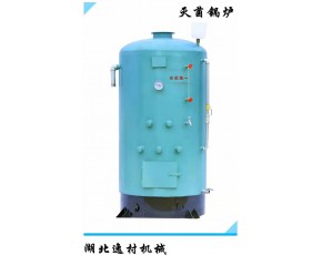 灭菌锅炉设备