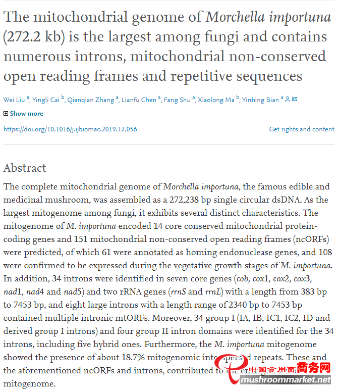 华中农业大学边银丙教授领衔的羊肚菌课题组绘制迄今为止最大的真菌线粒体基因组