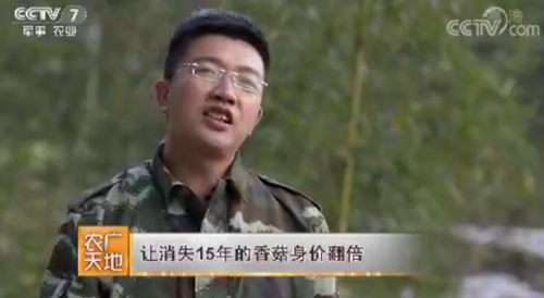 85后青年吳榮：光大祖輩流傳下來的香菇事業