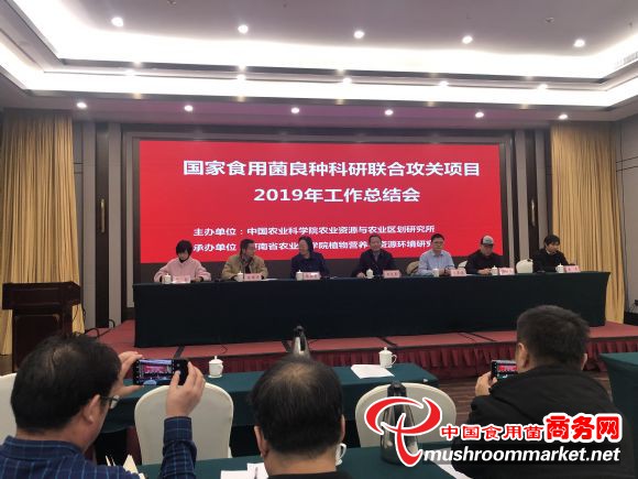 河南：鄭州召開國家食用菌良種科研聯合攻關項目2019年工作總結會