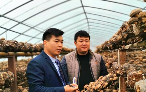 河南：“家庭貸”夢想基金托起農民致富夢