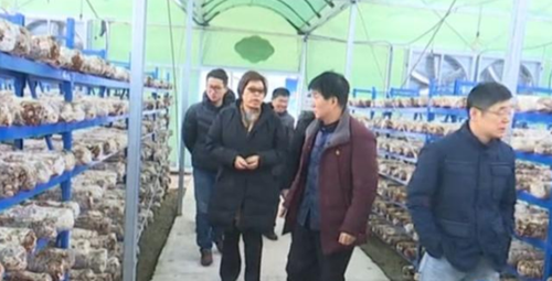 上海农科院副院长谭琦教授一行赴河南省泌阳县调研