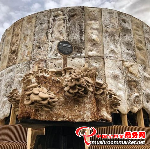荷蘭：這款“蘑菇亭子”可以凈化空氣