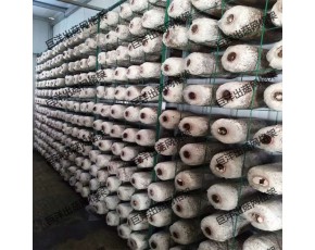 安徽省食用菌出菇架 平菇专用架子 工厂化出菇房网架