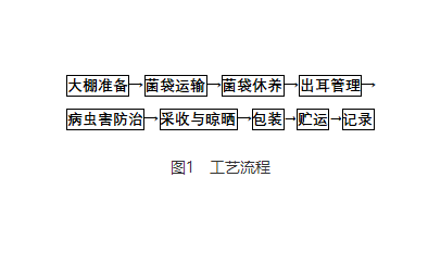 玉木耳生产标准化技术