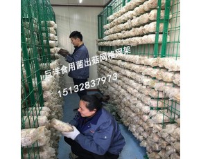 平菇出菇架厂家 白灵菇养殖网格架 食用菌出菇层架