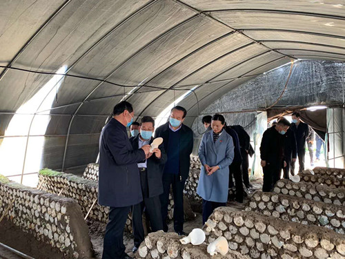 河南省扶貧檢查組蒞臨許東村世紀香食用菌產(chǎn)業(yè)扶貧基地檢查指導
