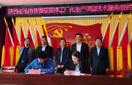 七河生物公司与洛南县政府签署年产2000万香菇菌棒工厂化项目合作协议