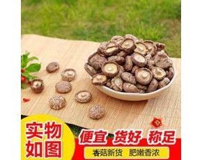 中国干香菇基地 河南香菇基地  优质干菇肉质厚实 鲜嫩可口