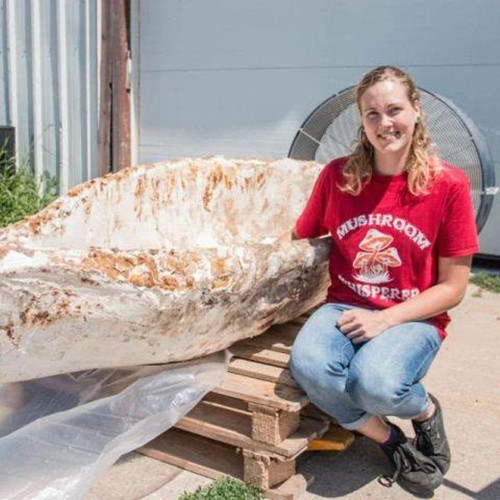 美国女大学生用蘑菇菌丝培育成独木舟 每次泛舟后它都会长大