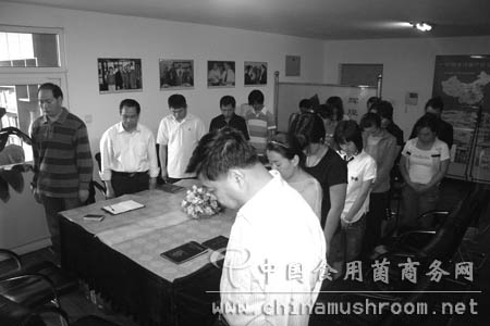 中國食用菌商務網全體同仁沉痛悼念汶川大地震中的遇難同胞