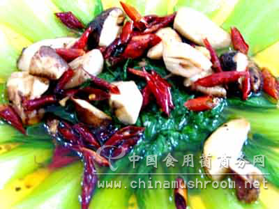 南华的菌(组图)