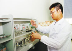 食用菌工厂化栽培项目列入国家星火计划