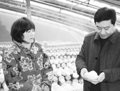 食用菌合作社助农闯市场