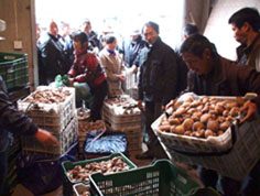 龙泉市上垟镇香菇交易市场热闹非凡