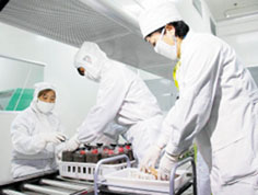 天津市北辰區(qū)一村食用菌高標(biāo)準(zhǔn)無菌凈化車間正式投入使用