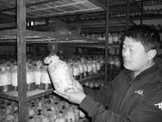 废葡萄枝怎样变成了宝贝