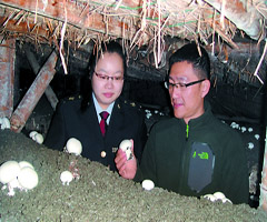 浙江:湖州食用菌种植场完成了备案审核