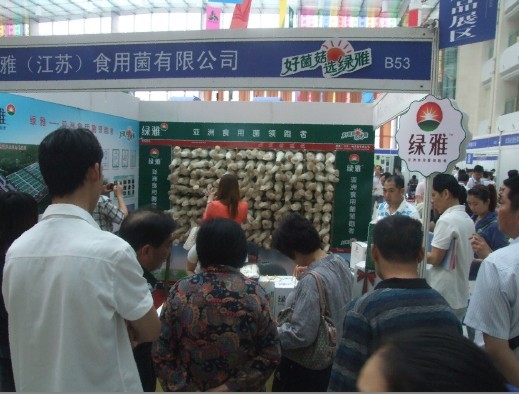 五月南京展會綠雅杏鮑菇引人駐足