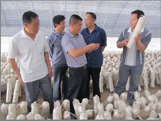 河北：廊坊落垡鎮(zhèn)“兩委”到北京通州考察食用菌