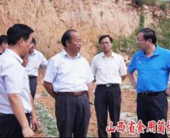 山西省委常委、组织部长汤涛视察武乡县食用菌科技扶贫工作