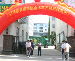 汪清县食用菌协会木耳产销对接会在县邮政局举行