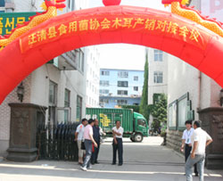 汪清縣食用菌協(xié)會(huì)木耳產(chǎn)銷對(duì)接會(huì)在縣郵政局舉行