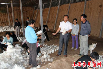 山西:省食用菌協(xié)會會長下鄉(xiāng)指導杏鮑菇技術(shù)