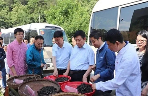 李玉院士團隊為柞水木耳產業發展提供科技支撐
