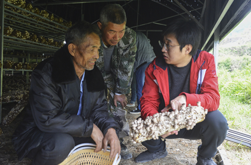 博士踏进小乡村 食用菌基地变讲堂