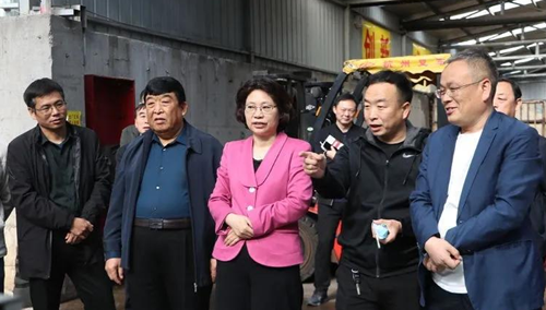 河南省三門峽市市委書記孫淑芳一行蒞臨昌盛公司指導食用菌鍋爐煤改氣工作