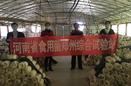 河南鄭州試驗站站長崔杏春一行赴滎陽市開展技術服務