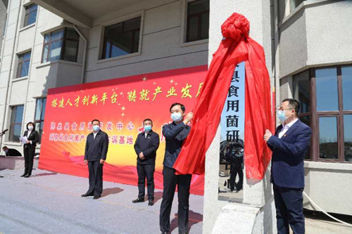 黑龍江：拜泉縣舉行食用菌研發中心、食用菌產業人才實訓基地揭牌儀式
